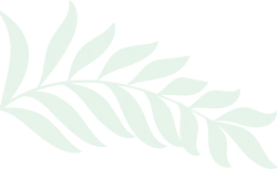 plant-icon