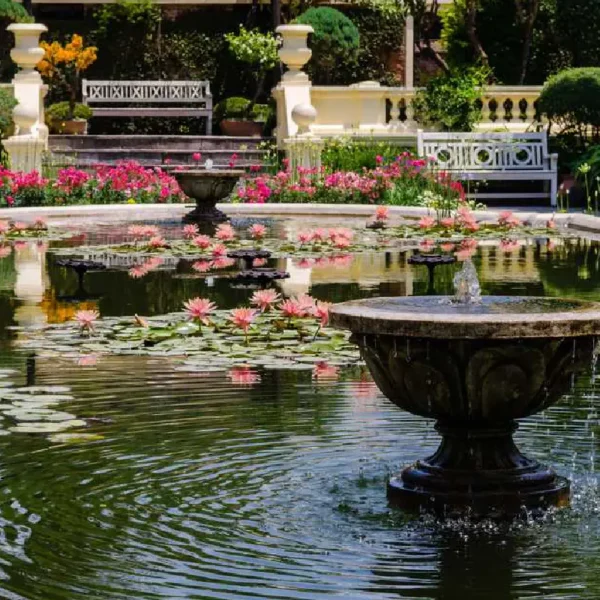 Day Tour To Garden of Dreams