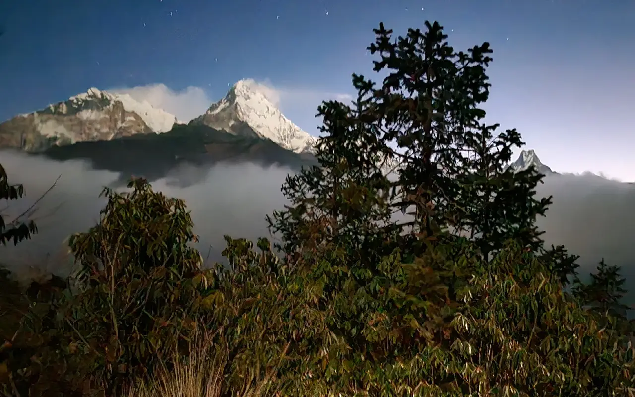 Trek to Ghorepani Poon Hill