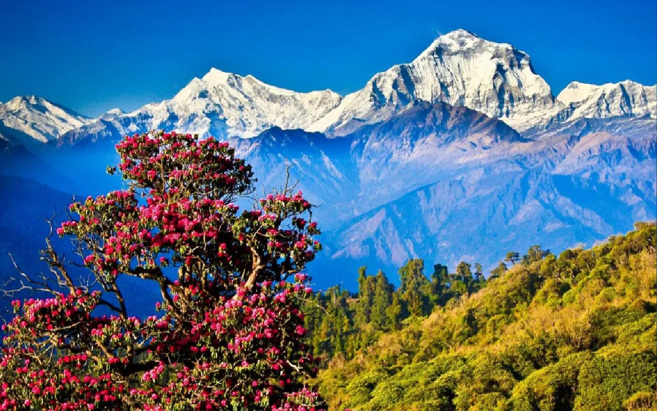 Spring Season in Nepal