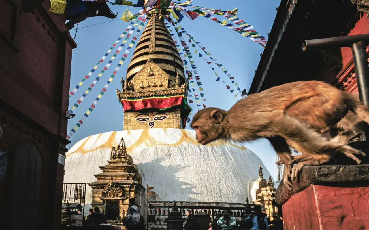 Kathmandu City Tour