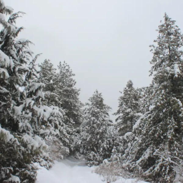 Interesting Facts About Nepal