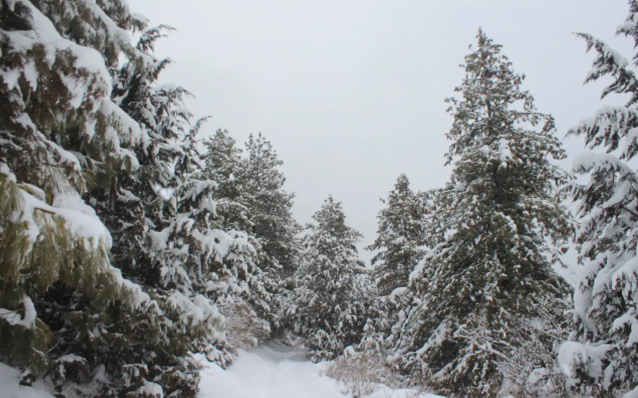 Interesting Facts About Nepal