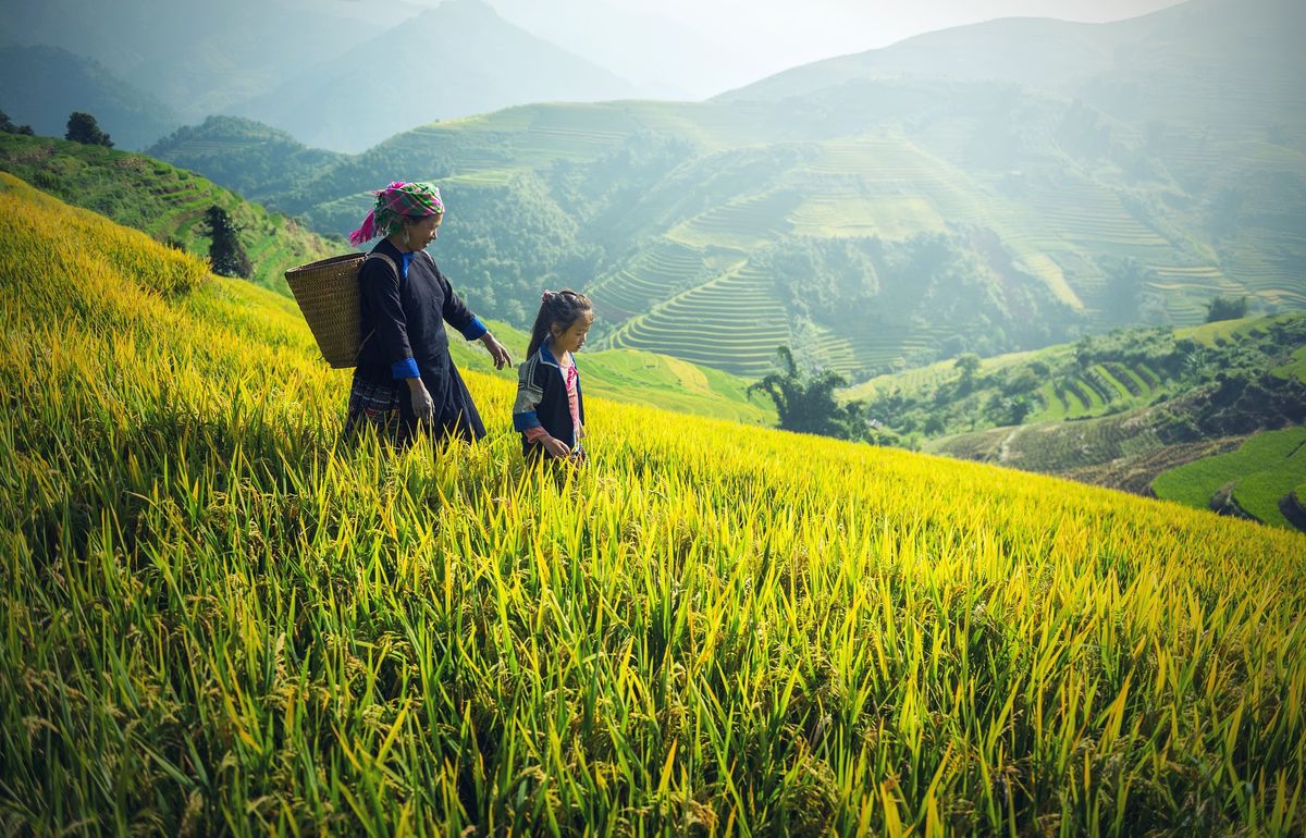 purpose of travel