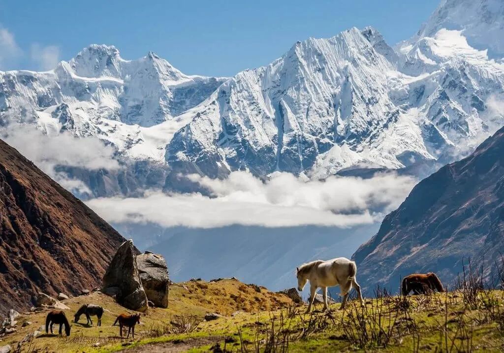 Best Trek in Nepal