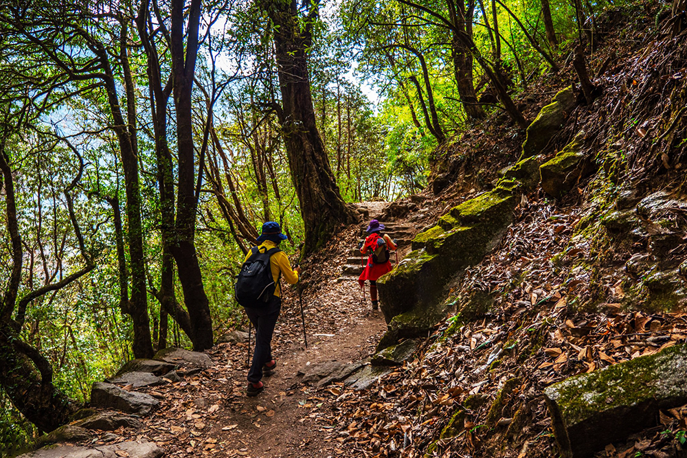 Best Trek in Nepal