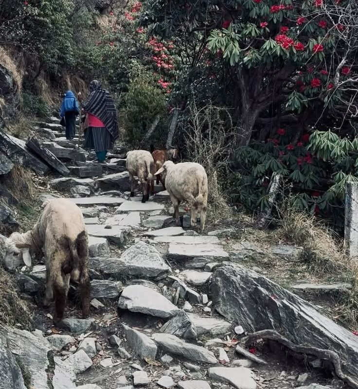 Ganesh Himal Trek