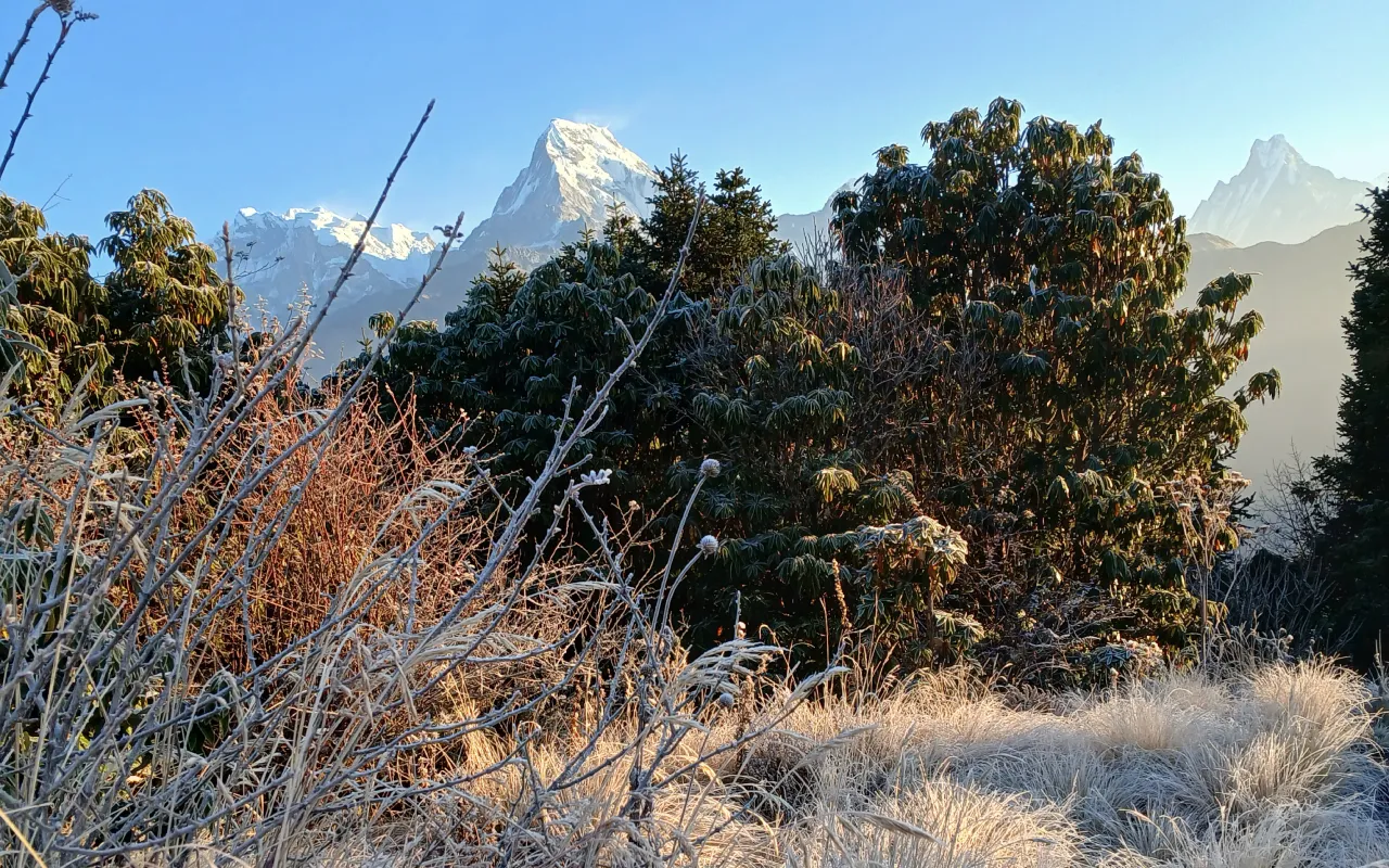 muktinath trek