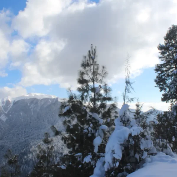rara lake leaf holidays treks